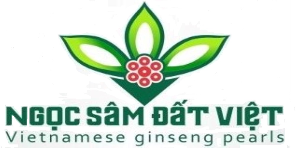 Ngọc Sâm Đất Việt